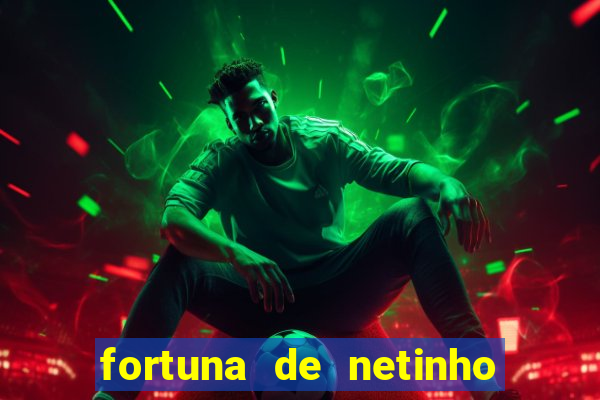 fortuna de netinho de paula